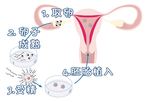 好韵多次失败疑难中心